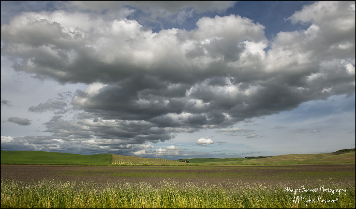 Clouds Over the Palouse